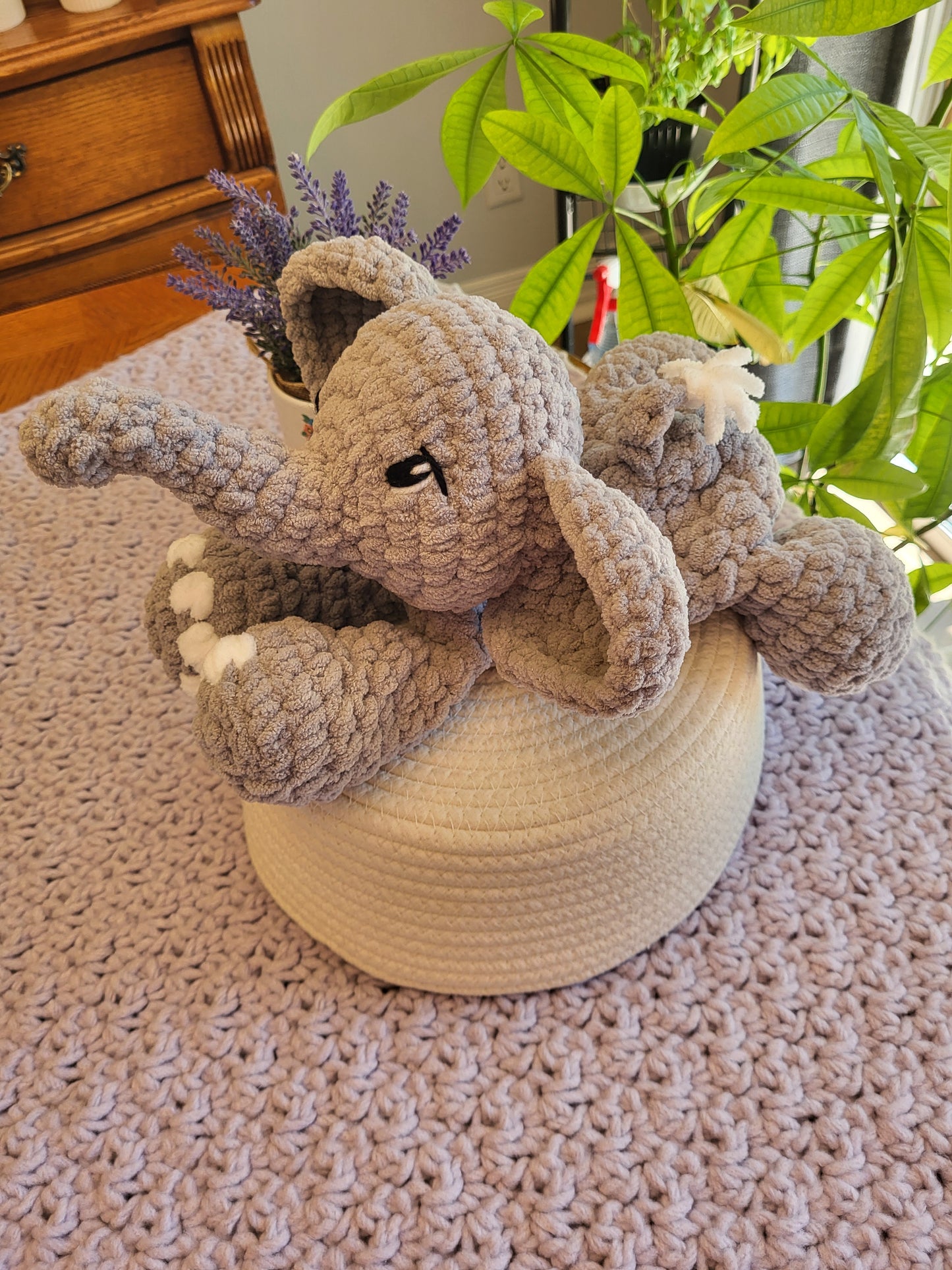 Easton - Elephant Snuggler